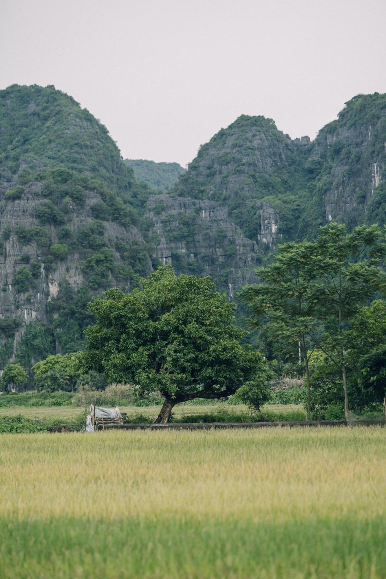 Tam Coc Windy Fields Villa Ninh Binh Exterior photo
